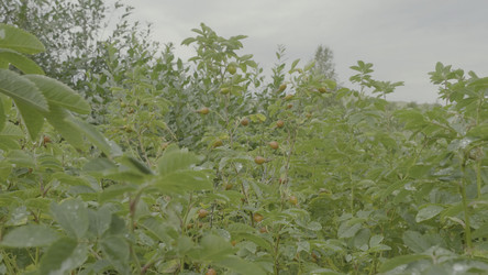 Similar image 22329730