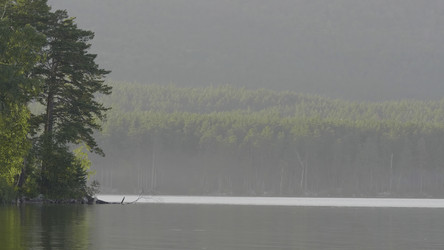 Similar image 22329901