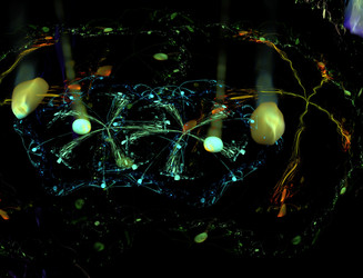 Similar image 22320977