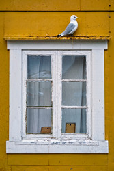 Similar image 22303082