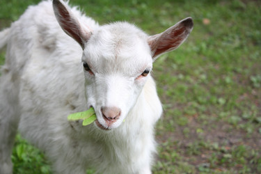 Similar image 22302336