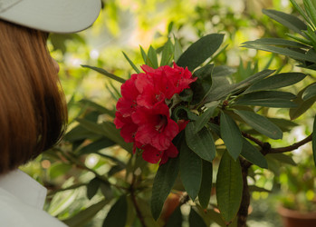 Similar image 22308845