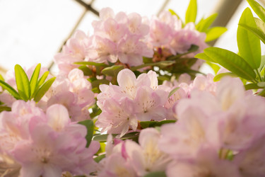 Similar image 22308846