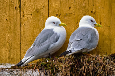 Similar image 22312573