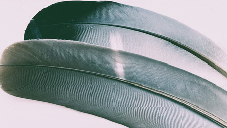 Similar image 22301063