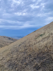 Similar image 22302345