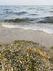 Similar image 22302348