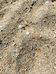 Similar image 22302352