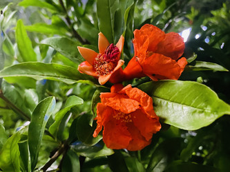 Similar image 22302354