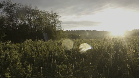 Similar image 22315788