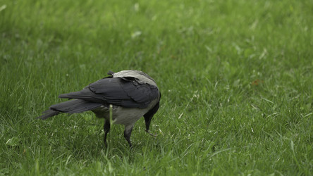 Similar image 22315804