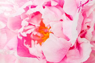 Similar image 22302406