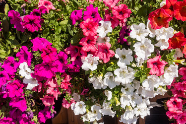 Similar image 22302407