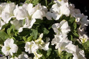 Similar image 22302408