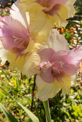 Similar image 22302410