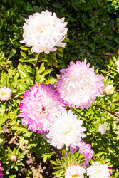 Similar image 22302411