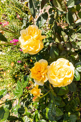 Similar image 22302412