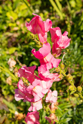 Similar image 22302417