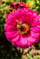 Similar image 22302418