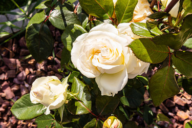 Similar image 22302420