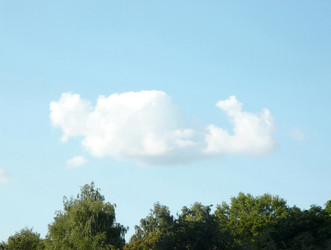 Similar image 22311548