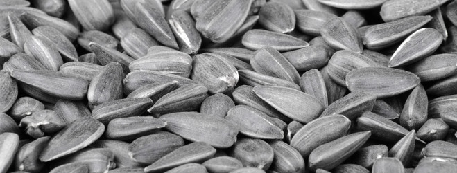 Similar image 22311551