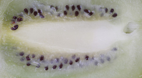 Similar image 22311553