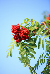 Similar image 22311555