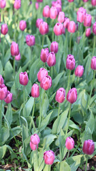 Similar image 22311561