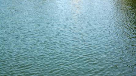 Similar image 22311562