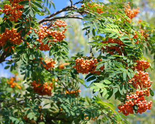 Similar image 22311567