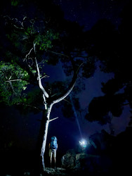 Similar image 22302084