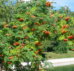 Similar image 22311577