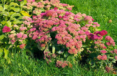 Similar image 22311578