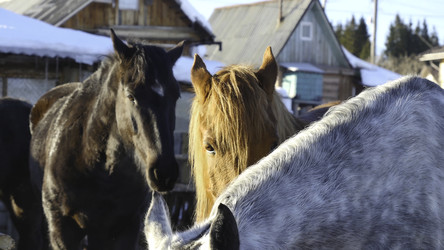 Similar image 22314342