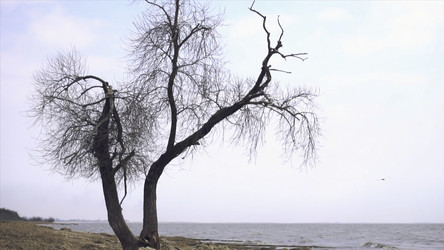 Similar image 22314470