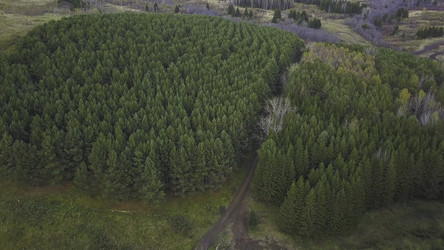 Similar image 22315825