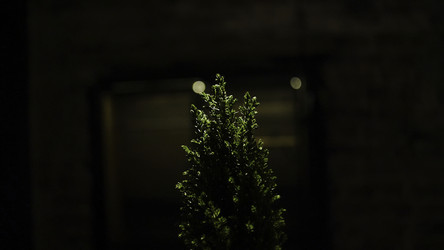 Similar image 22316063