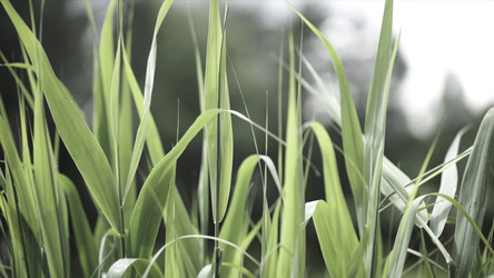 Similar image 22327856