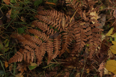 Similar image 22308593