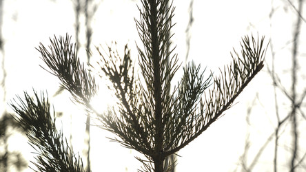 Similar image 22330596