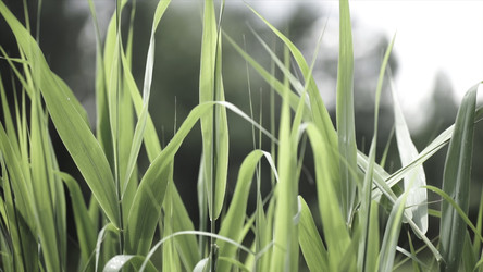 Similar image 22330610