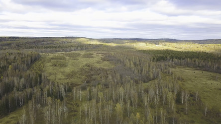 Similar image 22331043