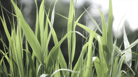 Similar image 22331524