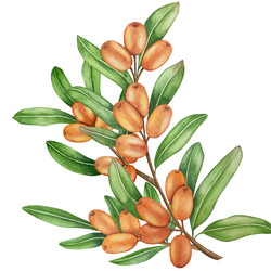 Similar image 22302444