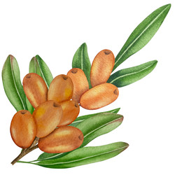 Similar image 22302445