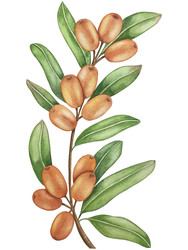 Similar image 22302448