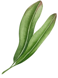 Similar image 22302449