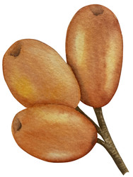 Similar image 22302450