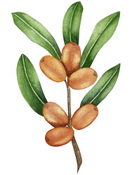 Similar image 22302452